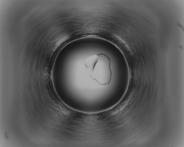X0000091491210200708231415