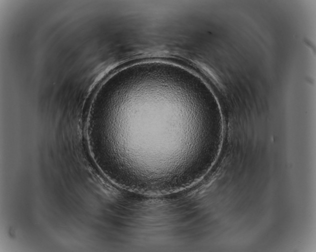 X0000091491212200708231415
