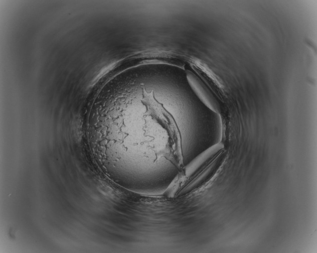 X0000091491213200708231415