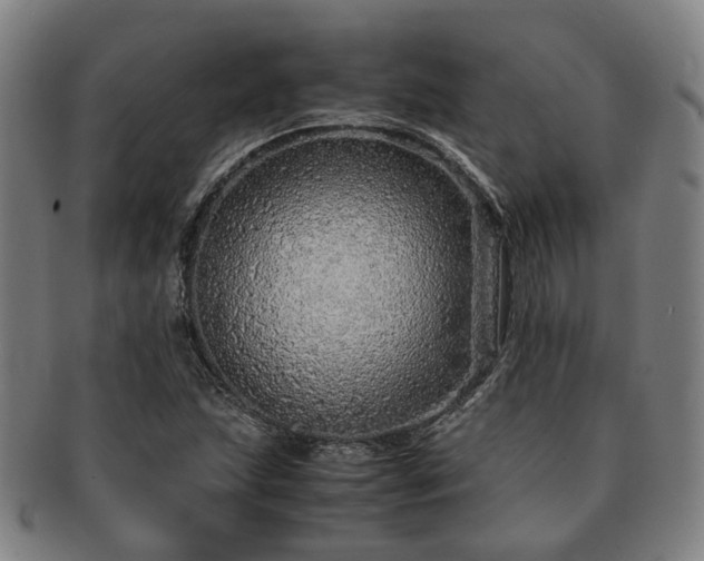 X0000091491215200708231415