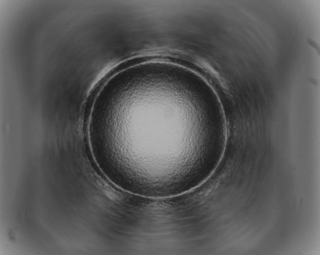 X0000091491216200708231415