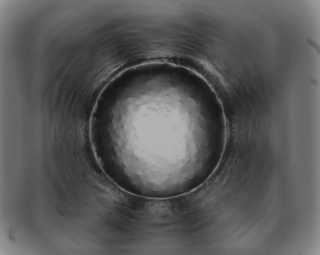 X0000091491217200708231415