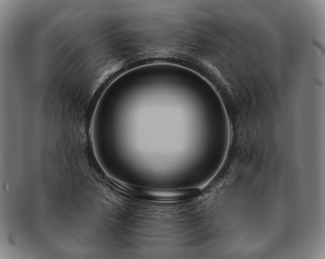 X0000091491218200708231415