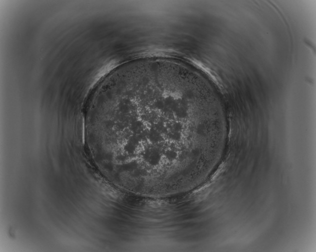 X0000091491219200708231415