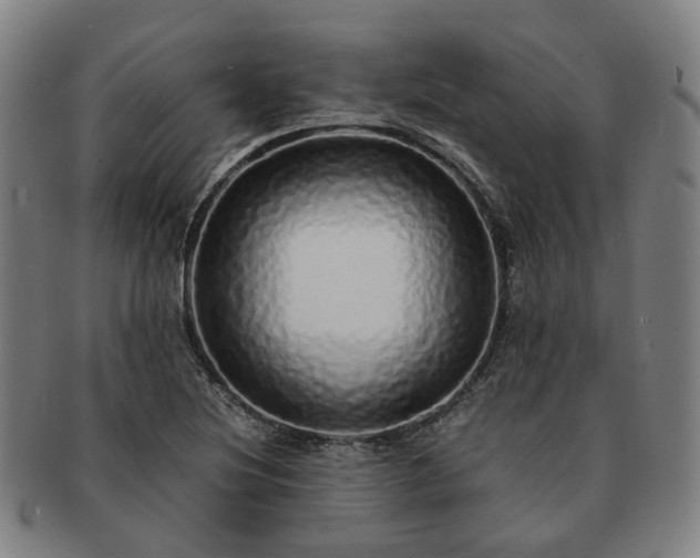 X0000091491220200708231415