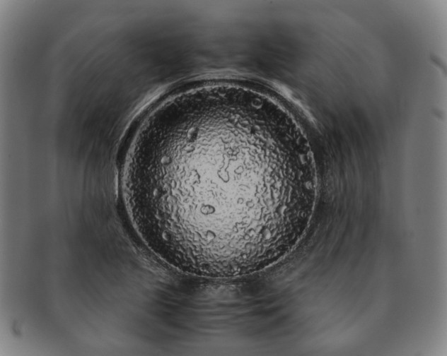 X0000091491221200708231415