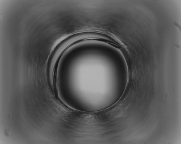 X0000091491222200708231415