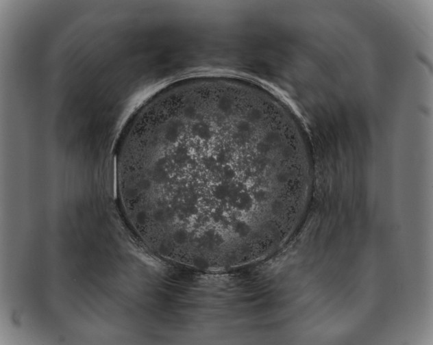 X0000091491223200708231415