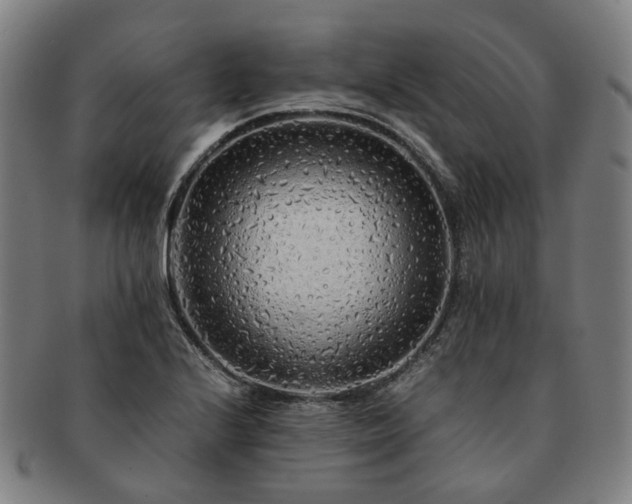 X0000091491224200708231415