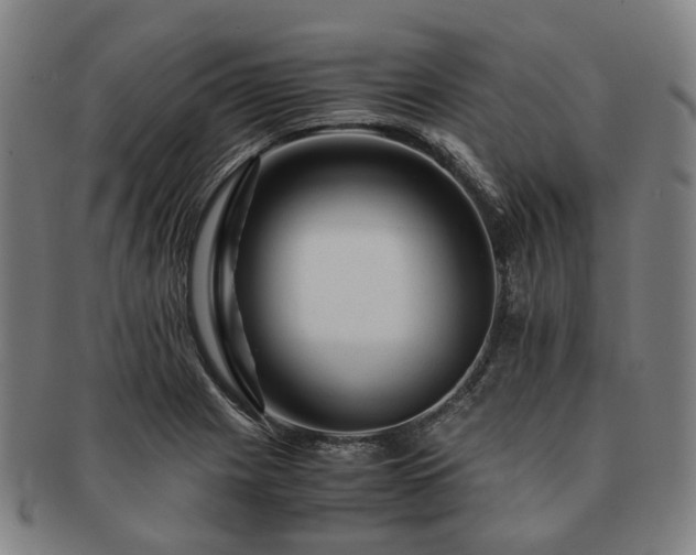 X0000091491225200708231415