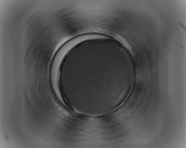 X0000091491226200708231415