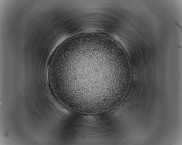 X0000091491227200708231415