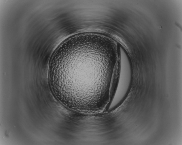 X0000091491228200708231415