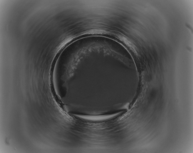 X0000091491229200708231415