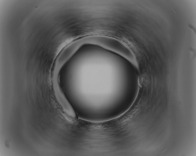 X0000091491230200708231415
