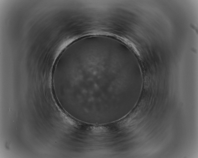 X0000091491231200708231415