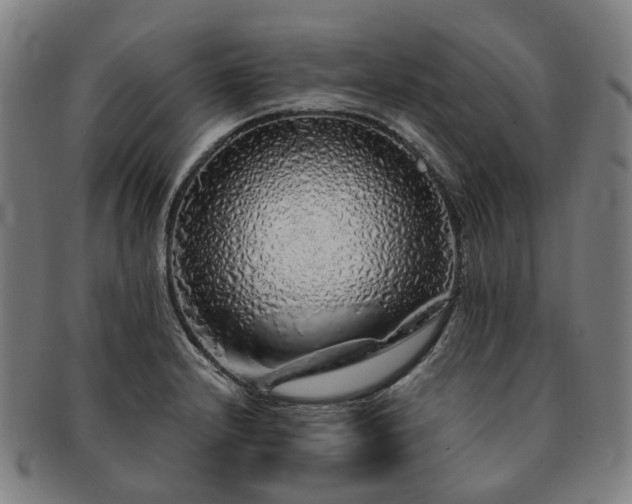 X0000091491232200708231415