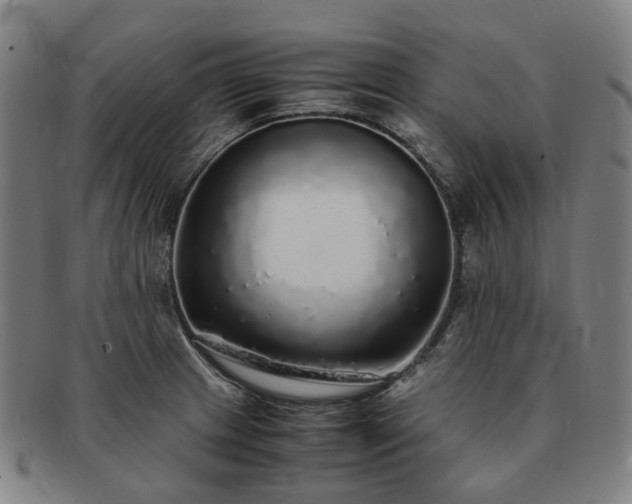X0000091491233200708231415