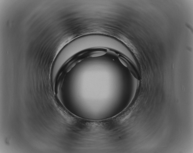 X0000091491234200708231415