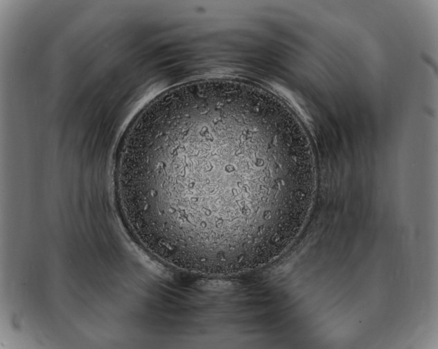 X0000091491235200708231415