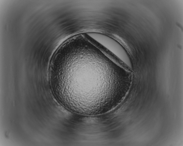 X0000091491236200708231415