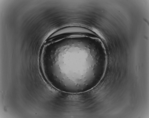 X0000091491237200708231415