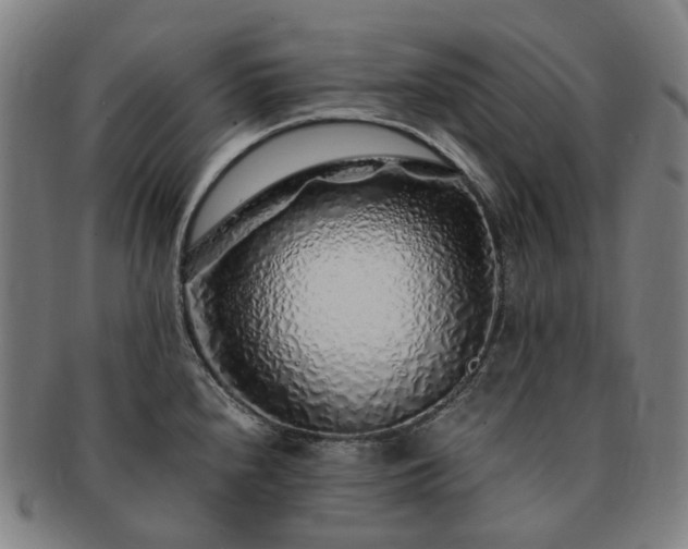 X0000091491240200708231415