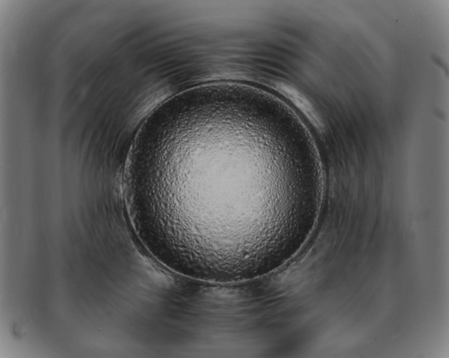 X0000091491241200708231415