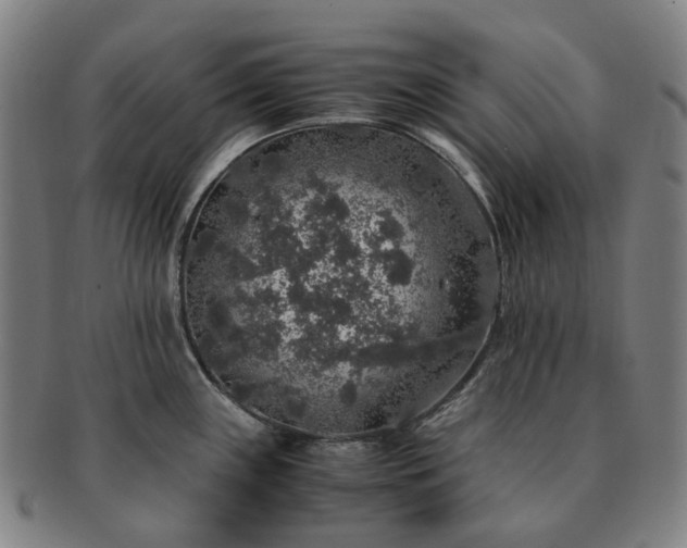 X0000091491243200708231415