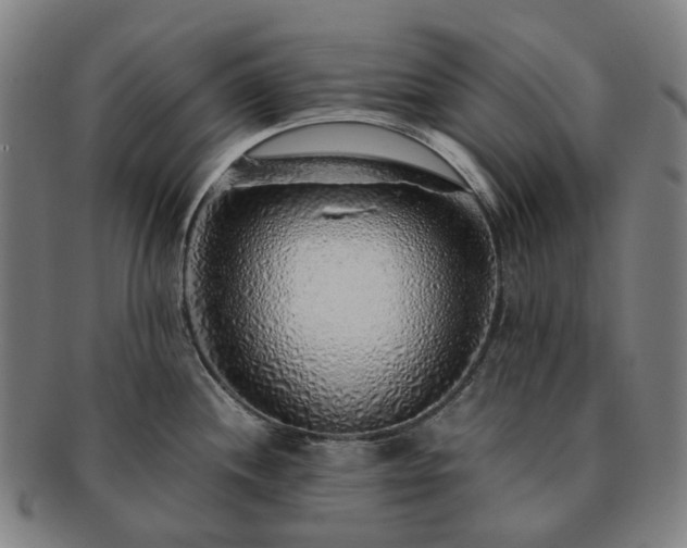 X0000091491244200708231415