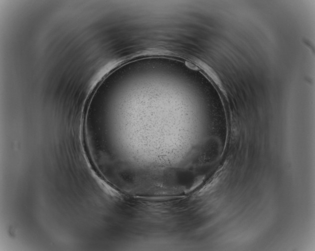 X0000091491245200708231415
