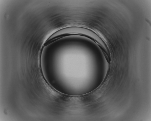 X0000091491246200708231415