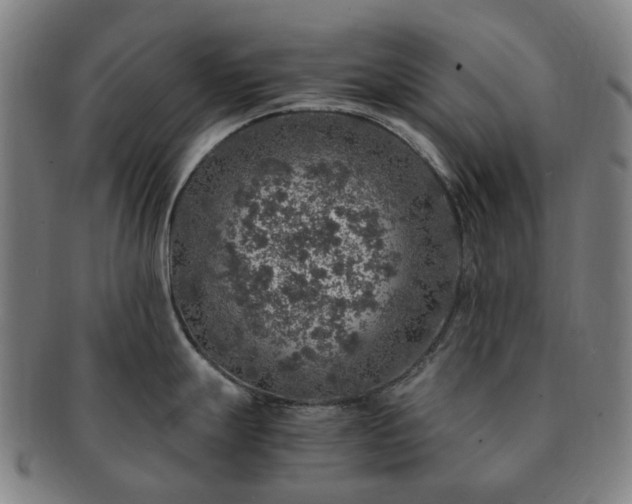X0000091491247200708231415