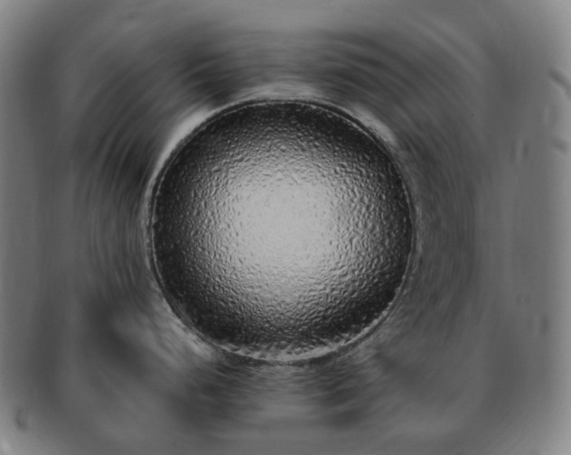 X0000091491248200708231415