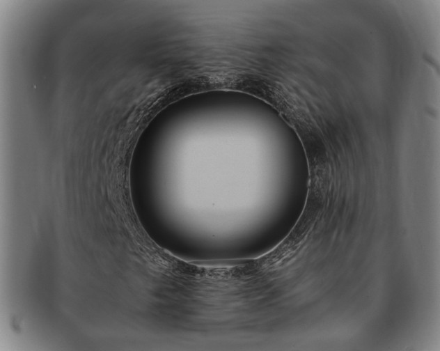 X0000091491249200708231414