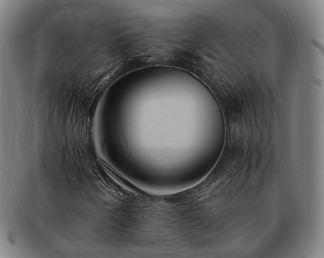 X0000091491250200708231414