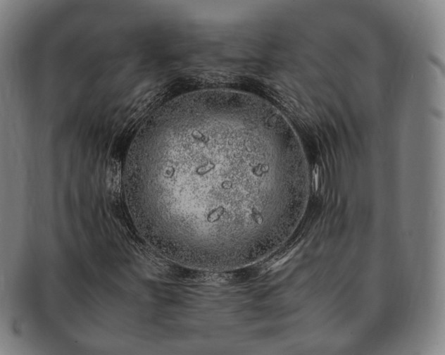 X0000091491251200708231414