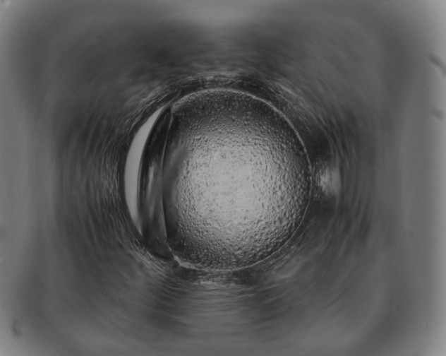 X0000091491252200708231414