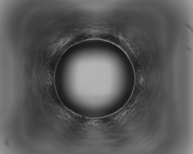 X0000091491253200708231414
