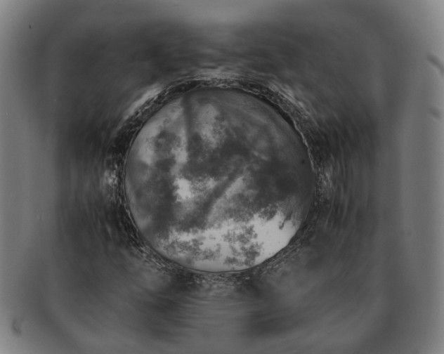 X0000091491254200708231414
