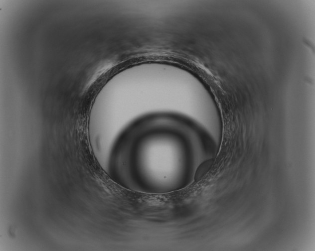 X0000091491255200708231414