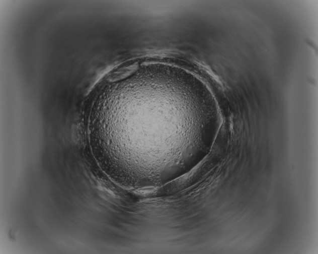 X0000091491256200708231414