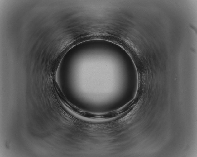X0000091491257200708231414