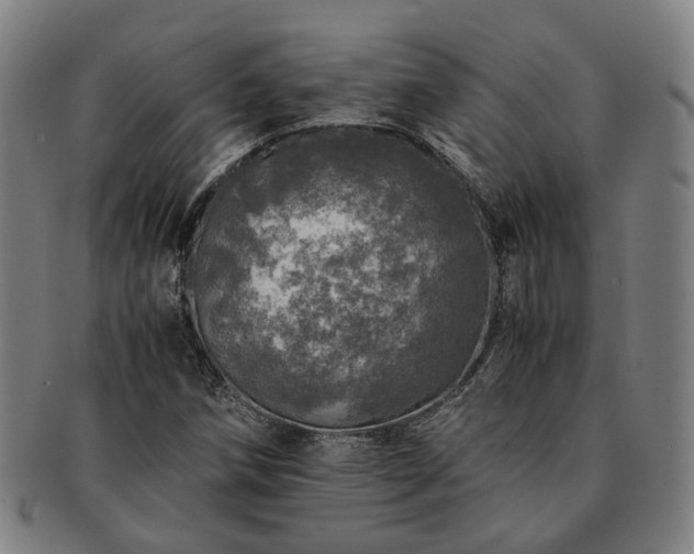 X0000091491258200708231414