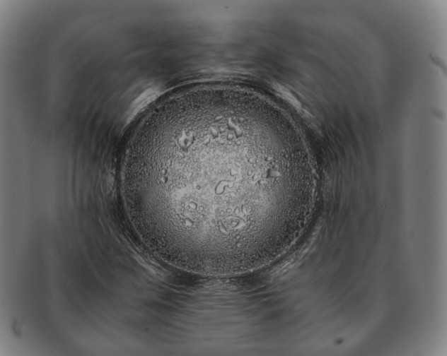 X0000091491259200708231414
