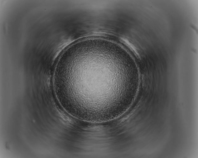 X0000091491260200708231414