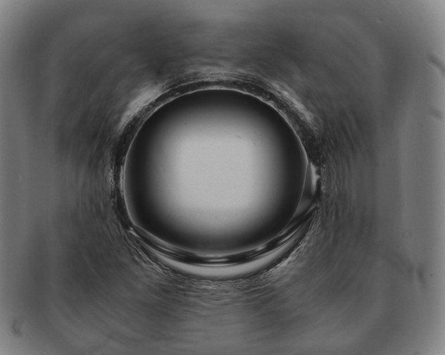 X0000091491261200708231414