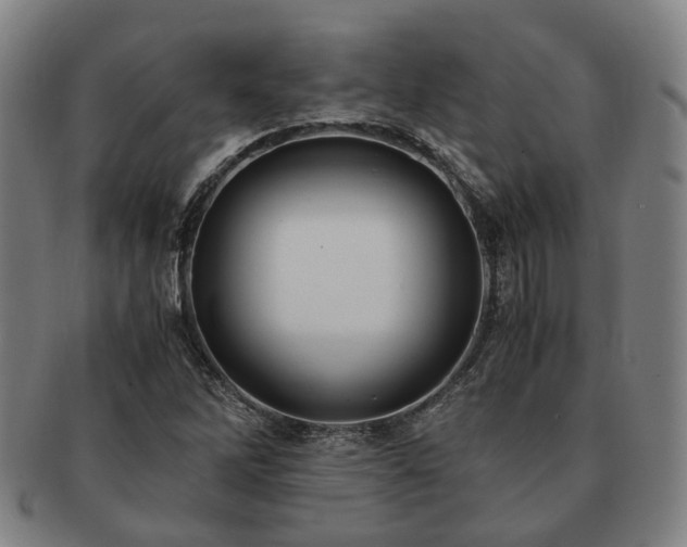 X0000091491262200708231414