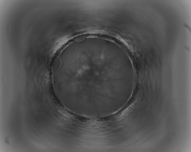 X0000091491263200708231414