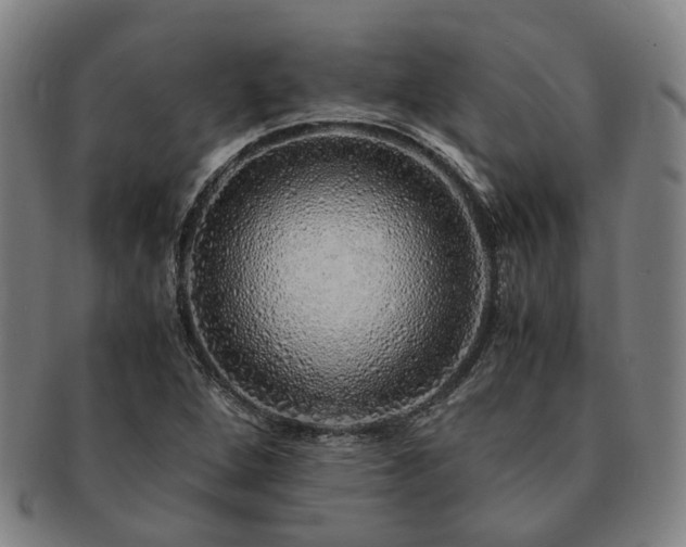 X0000091491264200708231414